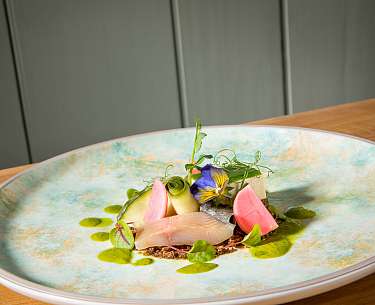 Blick auf angerichteten Teller mit Fleisch und Kleeblättern