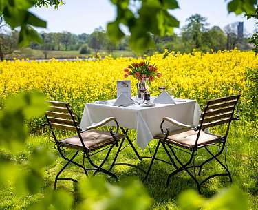 Gutsgarten mit Blick auf gelbe blühende Felder im Sommer