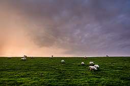 Romantik Hotel Reichshof