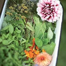 2022 01 s11 1136x1136px v2