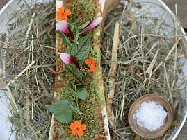 2022 01 s12 1136x1136px