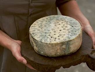 2022 01 s15 2 1136x1136px