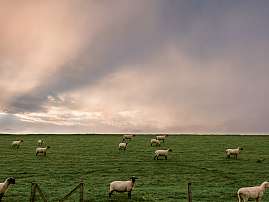 2022 01 s26 1 1136x1136px