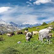 Nachhaltig beeindruckend