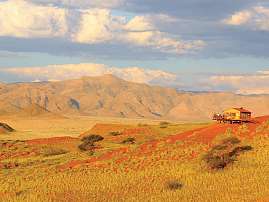 2023 02 46 1136x1136px