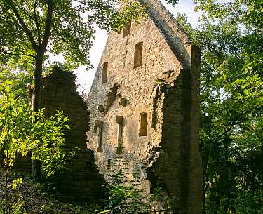 Eine Ruine ragt zwischen den Bäumen im Wald hervor