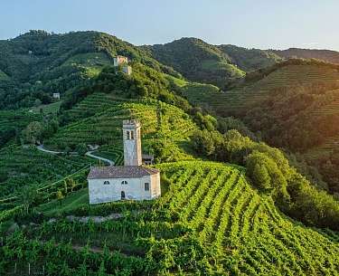 Blick auf Winzer der Umgebung 