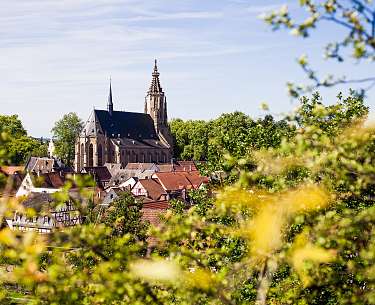 Blick auf eine Kirche in der Natur 