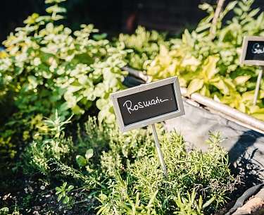 Kräutergarten im Mühlbach Thermal Spa &amp; Romantik Hotel 