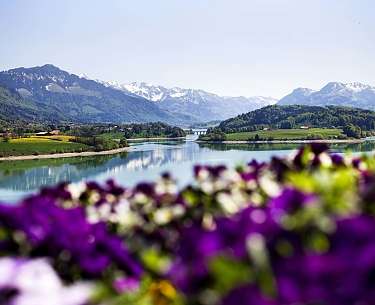 Seelandschaft im Sommer Le Vignier 
