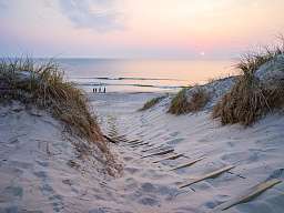 AdobeStock 269043393