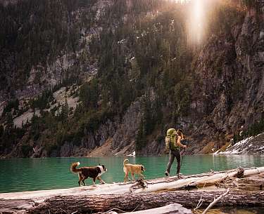 Spaziergang mit Hunden