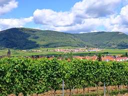 Deutsche Weinstraße