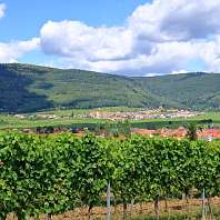 Deutsche Weinstraße