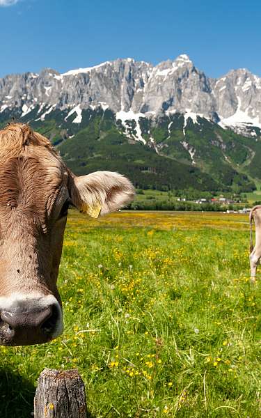  Nachhaltig beeindruckend 