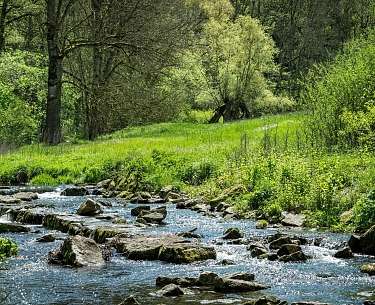 Die Tauber im Frühlingslicht bei Rothenburg
