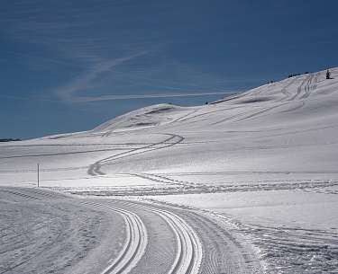 schnee winter langlauf