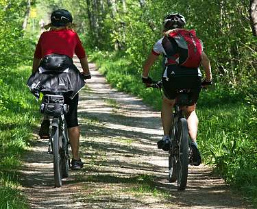 Radfahren Radfahrer Wald 