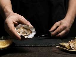 Oyster
