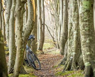 Radfahren im Odenthal