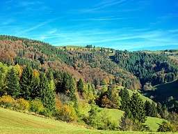 Blick auf den Schwarzwald
