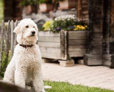 Romantik Hotel Stafler