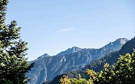 Jahrzehntelange Treue