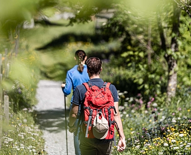 Wandern à la Hornberg