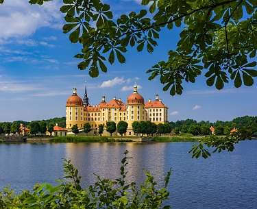 Blick auf die Moritzburg von einem See aus