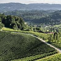 Südsteirische Weinstraße