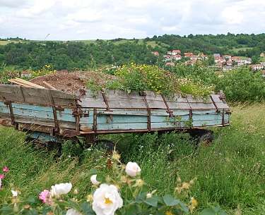 creglingen 4483758 1280