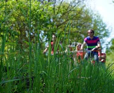 Blick vom Gras auf eine Draisine mit Menschen