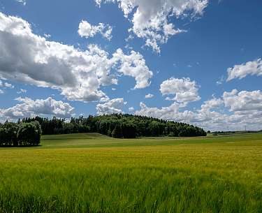 Ein Herz fuer die Region