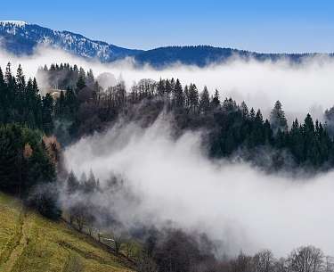 Blick auf den Schwarzwald mit aufsteigendem Nebel