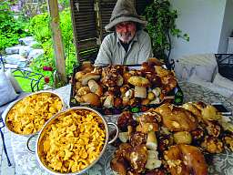 Pilz - Romantik Hotel Hornberg