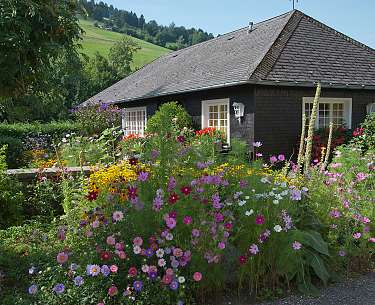 fp2 7932 klein original 228354