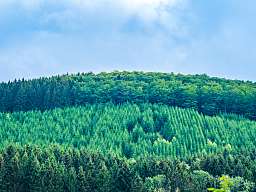 Friederike Hegner I Romantik Hotel Deimann Außenansicht auf die Berge