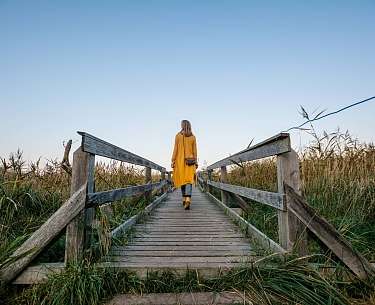 Romantik Hotel Scheelehof Stralsund Am Wasser 