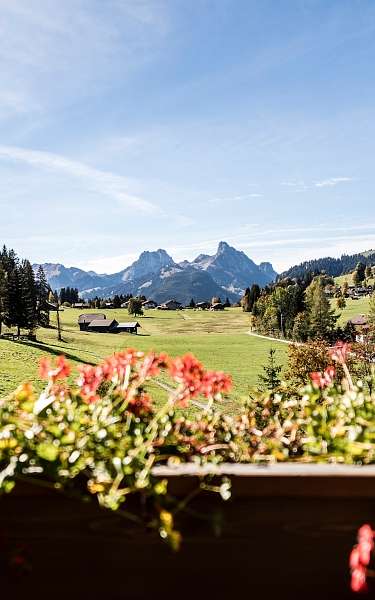 Hannes Niederkofler HQ 3172 1