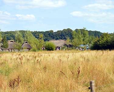 Weitläufiges Feld mitten in der Natur