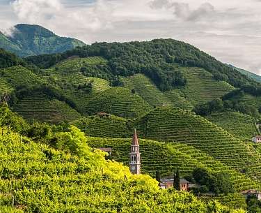 Hügel des Proseccogebietes