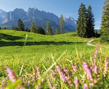 Höhenrain Wiese des Romantik Hotels