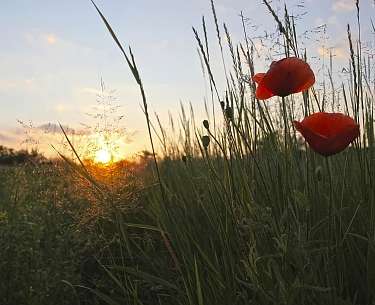 Hotel Astenkrone Auszeit Laue Sommer naechte