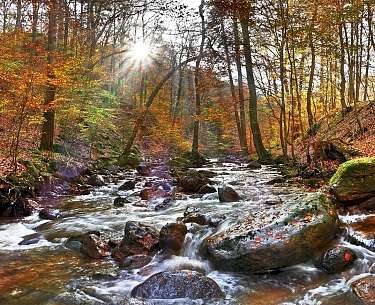 ilsetal g466b6e019 1920