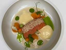 Lachs mit Anis, Kürbis &amp;  Miso