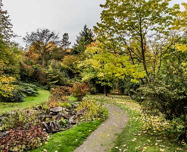 Botanischer Garten der Universität Osnabrück