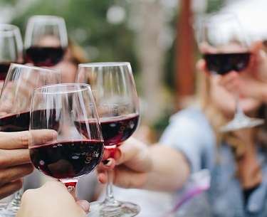 Weinerlebnis Grafenegg