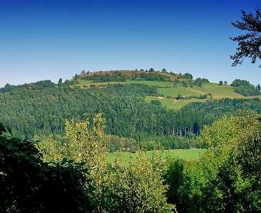 Neuburg bergen Wald Wiese Berg 