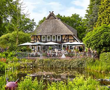 Terrasse, umgeben von grünen Pflanzen