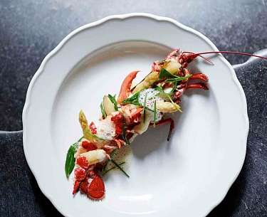 Oosterschelder Hummer 